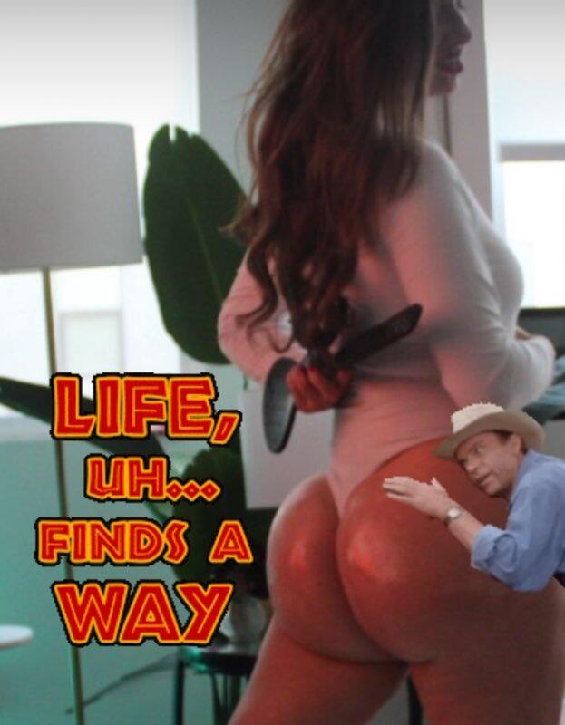 Lifestyle Content